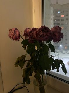 a vase filled with purple flowers next to a window