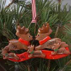 Tis The Season Christmas Ornaments family ornaments Flying Reindeer Family Ornament Katie Taylor, Flying Reindeer, Candy House, Family Ornaments, Lucky Dog, Family Christmas Ornaments, Neighbor Gifts, Family Ornament, Handmade Ornaments