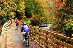 two people riding bikes on a wooden bridge over a stream in the woods with autumn foliage