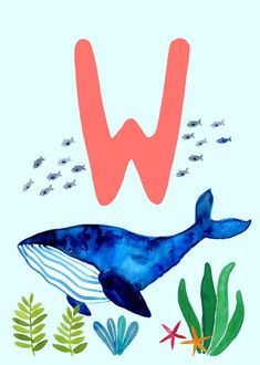 the letter w is for whale with an image of fish and seaweed on it