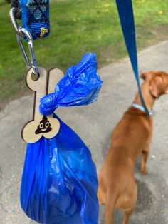 a brown dog standing next to a blue bag with a tag on it's handle