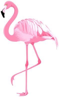 a pink flamingo standing on its hind legs