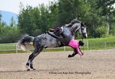 a person riding on the back of a horse in a dirt field with trees in the background