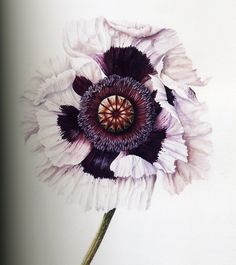 a white and purple flower is shown in this drawing, it looks like something out of an image