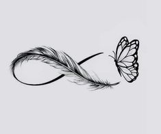 a drawing of a butterfly and a feather