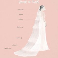 an illustrated guide to veils on a bride's wedding dress, with the words