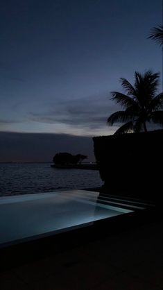 an empty swimming pool at night with palm trees in the background and dark sky above