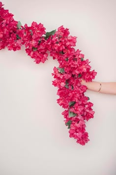 a woman is holding pink flowers in her hand with the word b's on it