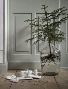 a small pine tree in a glass vase on the floor next to some wrapping paper