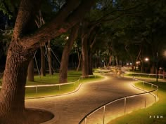 a pathway lit up at night in a park