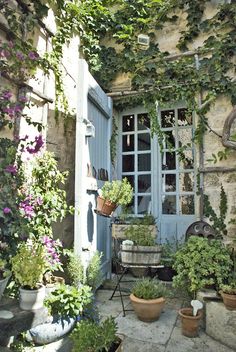 an outdoor area with potted plants and flowers on the outside wall, along with a blue door