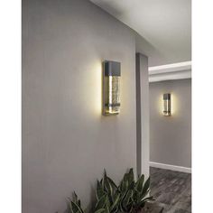 two lights are on the wall above a potted plant