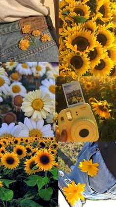 a collage of photos with sunflowers, jeans and a person holding a camera