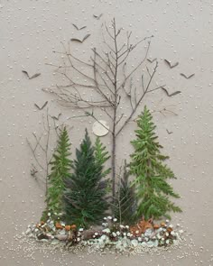 an arrangement of evergreens and pine trees on a wall