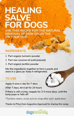 an info sheet describing the benefits of turment for dogs and how to use it