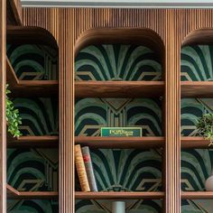 the bookshelves are decorated with art deco style wallpaper and wood trimmings