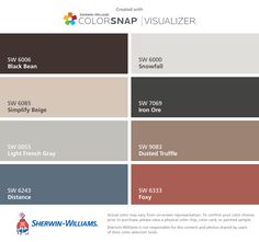 the color scheme for colorsnap visualizer, which is available in several different colors