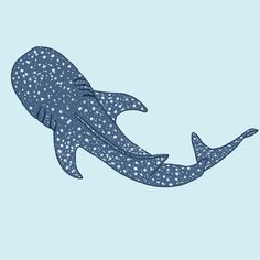 a drawing of a whale with spots on it's body and tail, swimming in the water