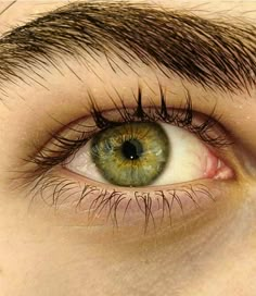 an eye with green and yellow colored contacts