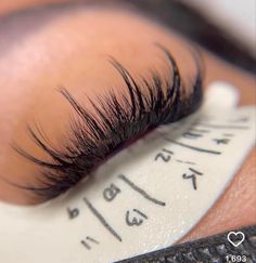 Fusion Lashes, Eyelash Mapping, Lash Extension Training, Lash Products, Eyelash Extensions Styles, Lash Extensions Styles, Perfect Eyelashes