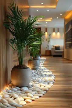 two potted plants sitting next to each other on top of a wooden floor covered in white rocks