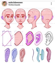 an animation character's head with different angles and facial features, including the upper half of