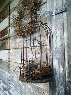 an old birdcage with vines hanging from it