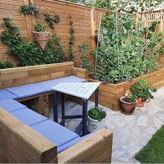 an outdoor garden with wooden walls and plants on the sides, along with blue benches