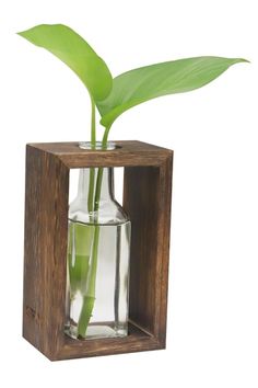 a small vase with a plant in it