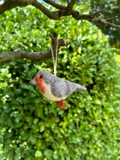 a small bird hanging from a tree branch