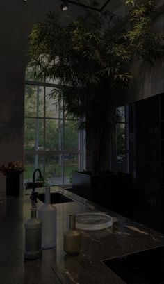 an empty kitchen with large windows and plants on the counter top in front of it