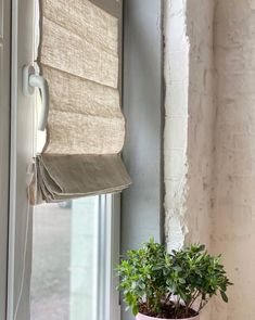 a potted plant sitting on top of a window sill next to a window