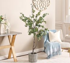 a living room with a chair, table and potted plant