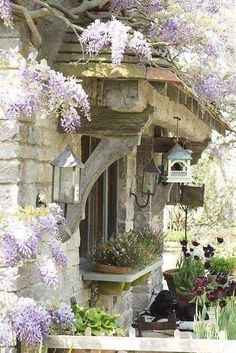 an outdoor garden with purple flowers and plants on the outside wall, along with potted plants