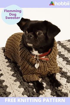 a small black dog wearing a sweater sitting on top of a knitted blanket with the words free knitting pattern below it