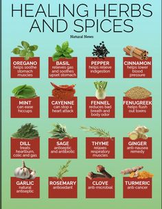 Medicinal Remedies, Healing Spices, Benefits Of Herbs, Dream Herbs, Herbal Remedies Recipes, Witch Board, Medical Herbs, Food Health Benefits, Healing Foods