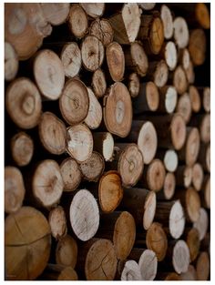 logs stacked on top of each other in front of a wall full of cut down trees