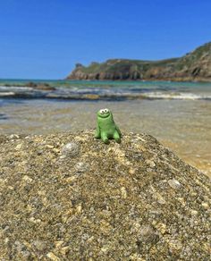 a green stuffed animal sitting on top of a rock next to the ocean and mountains