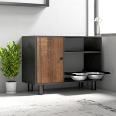 a potted plant sitting on top of a table next to a cabinet with two bowls in it