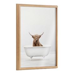 a framed photograph of a bull in a bathtub