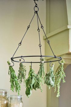 herbs hanging from a pot rack in a kitchen