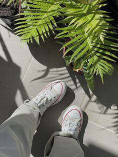 a person's feet in white sneakers on the ground next to a green plant