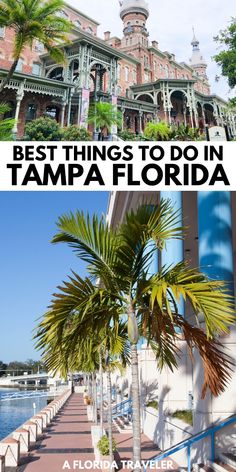 the best things to do in tampa, florida