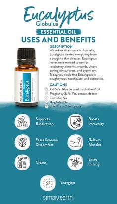 With Eucalyptus (Globulus) Essential Oil, I can make the most out of the days when cold symptoms hit and be there for my kids. Check it out! Eucalyptus Essential Oil Uses, Essential Oils Focus, Essential Oils Dogs, Essential Oils Kit, Essential Oil Diffuser Blends Recipes, Eucalyptus Globulus