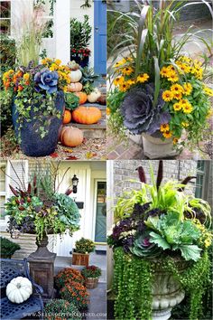 several different types of flowers and plants in pots on the front porch, including pumpkins