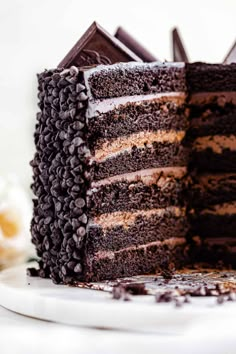 a chocolate layer cake on a white plate