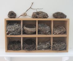 several birds nests are placed on a shelf