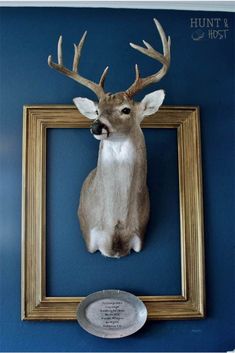 a deer's head mounted on the wall next to a framed photo with a plaque