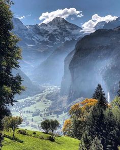 the mountains are covered in snow and green grass, with trees on each side as far as the eye can see