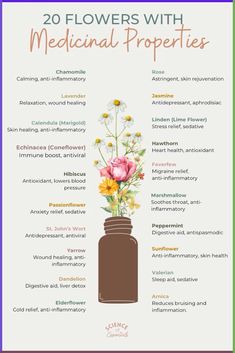 Medicinal Properties Of Herbs, Medicinal Flower Garden, Aromatherapy Garden, Garden Science, Medical Plants